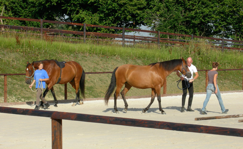 Equiyoga auf Haras de Chenes