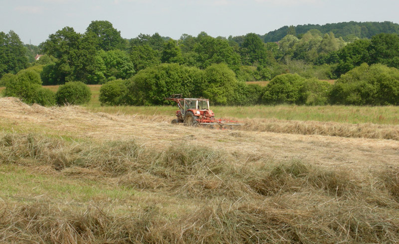 Heuernte - Haras de Chenes