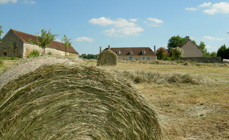 Heuernte auf Haras de Chenes
