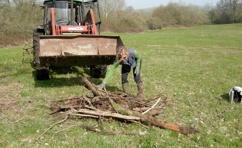 Frühling - Haras de Chenes