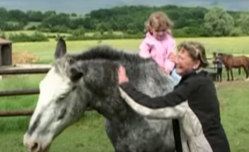 Ein Pferd liegt auf einer Weide, umgeben von großen Heuballen