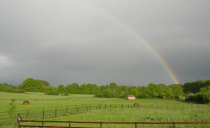 Regenborgen
