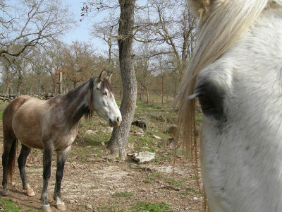 Triana und ihre Mutter Freya