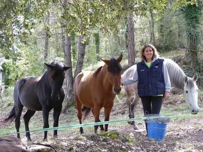 Eine Frau, Merc&eacute;, mit 3 Pferden im Wald